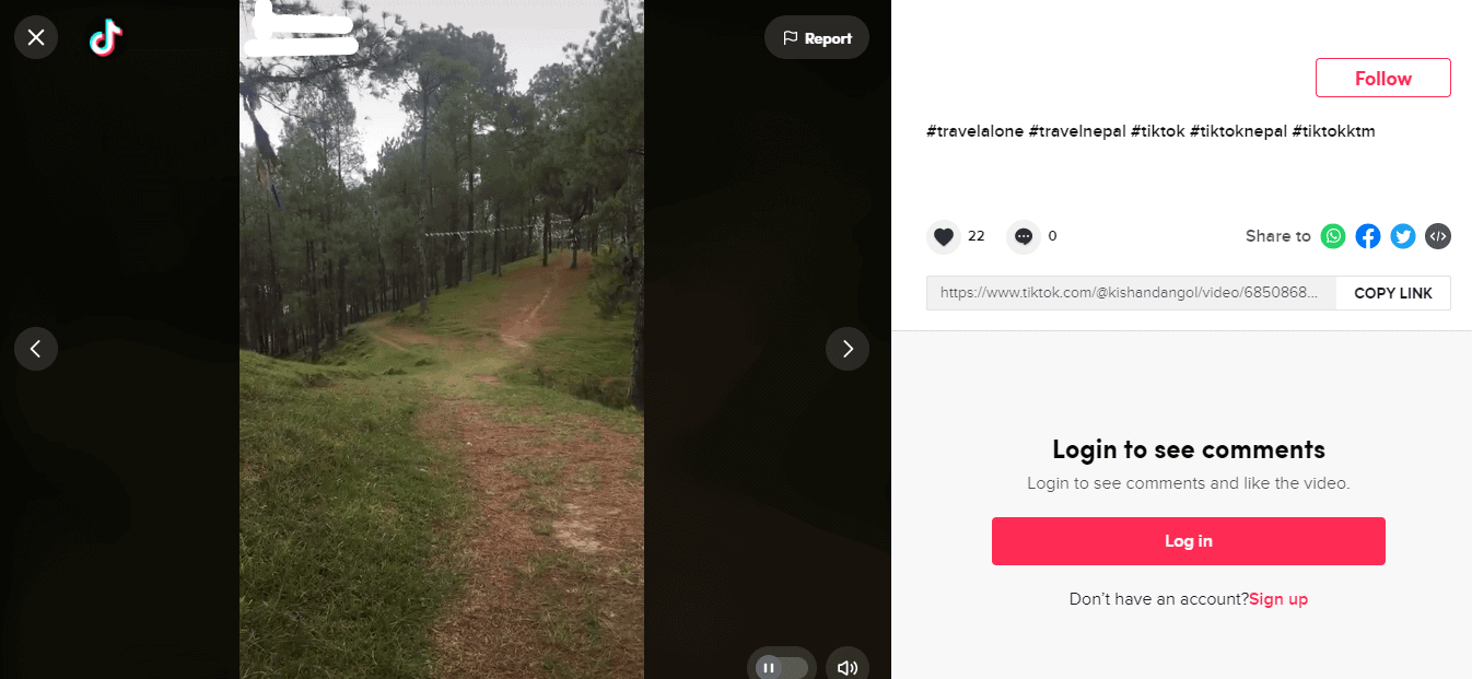 Embed TikTok Video in WordPress