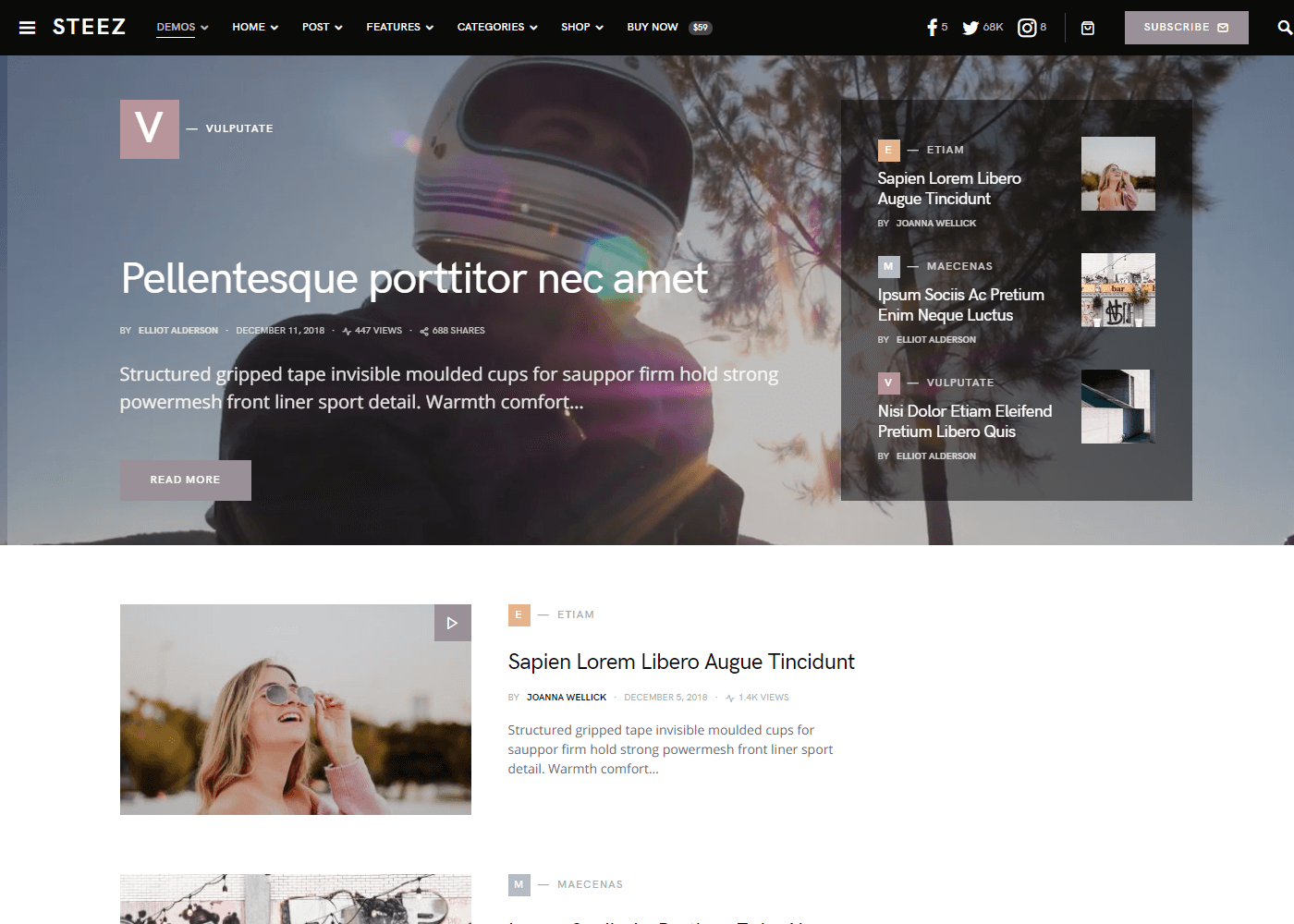 WordPress Blog Themes